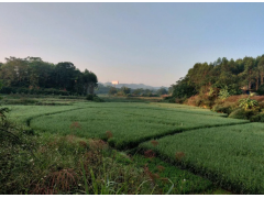 什么是土地復(fù)墾費(fèi)？廣西做土地復(fù)墾方案的公司